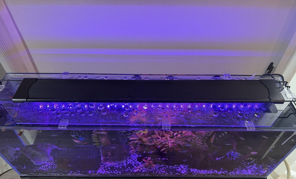 90cm水槽を上から見た様子と水草や流木のレイアウト