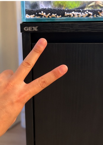 実際に使用している90cm水槽とGEXの水槽台