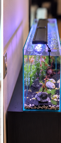 GEXアクアラック ウッド900スリムに90cm水槽を載せた正面