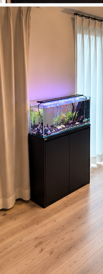 GEXアクアラック ウッド900スリムの扉を開けた状態