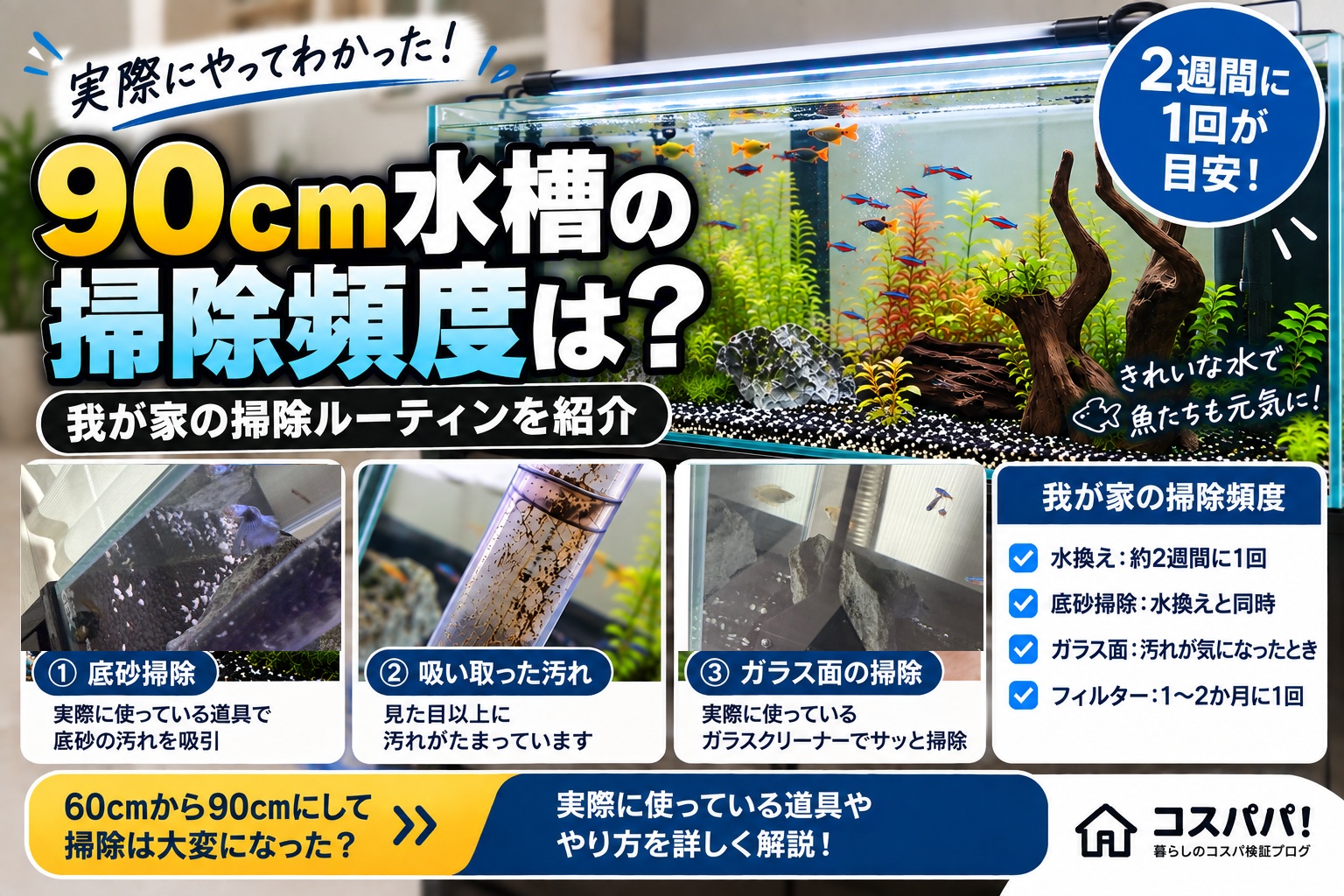 90cm水槽の掃除頻度と実際に行っている底砂・ガラス面の掃除方法を紹介するアイキャッチ画像